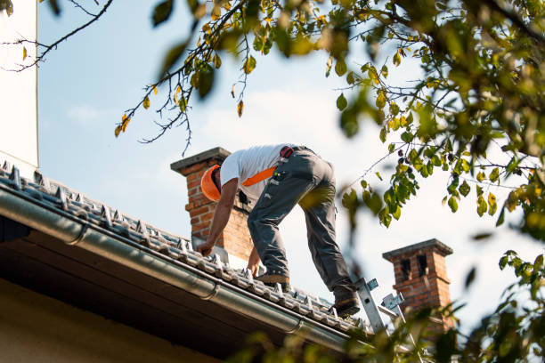 Best Storm Damage Roof Repair  in Branford Center, CT